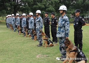 江苏宿迁警方推“共享保安”模式，可防性案件下降21%