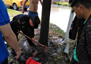 消防栓变成“喷泉” 特保紧急协助抢险 ——奉浦网格项目队员处理